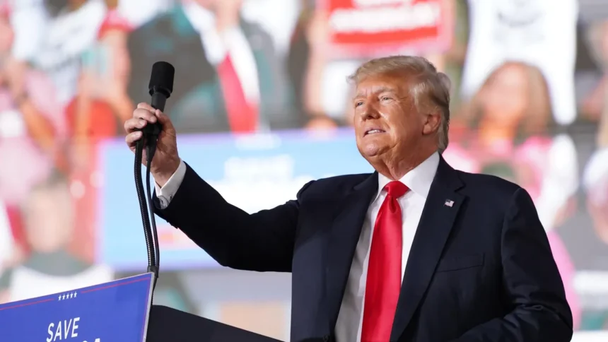 Here Are The Biggest Moments From Trump’s ‘Bro’ Podcast Tour Ahead Of Joe Rogan Appearance