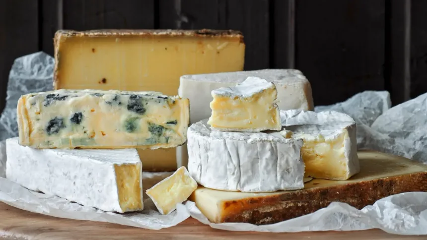Cheeses And Turkey Sandwiches Latest To Be Recalled For Listeria Concerns