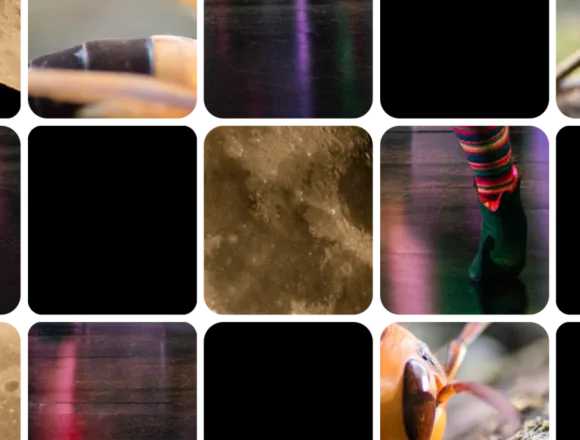 America eradicates a notoriously pesky insect and an NBA team’s personal foul: The weekly news quiz