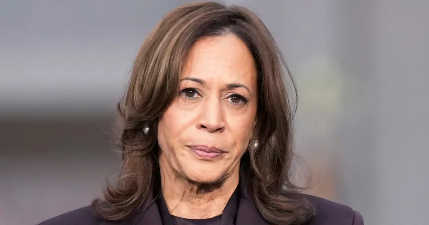 2024 was a historic year in global elections — and a bad one for those in power