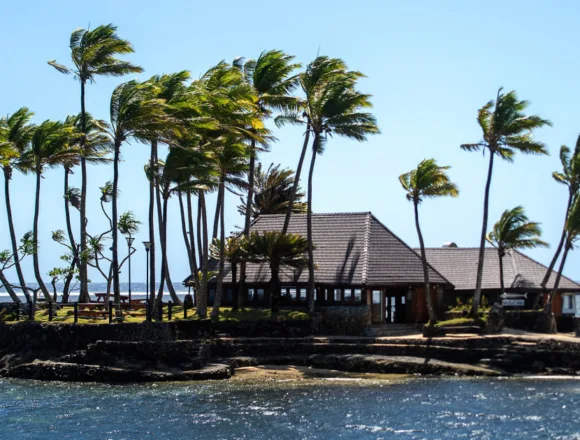 7 foreign tourists hospitalized in Fiji after suspected alcohol poisoning