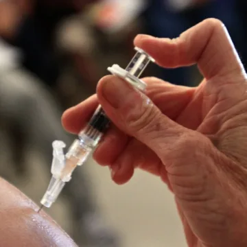 Whooping cough cases reach highest level in a decade
