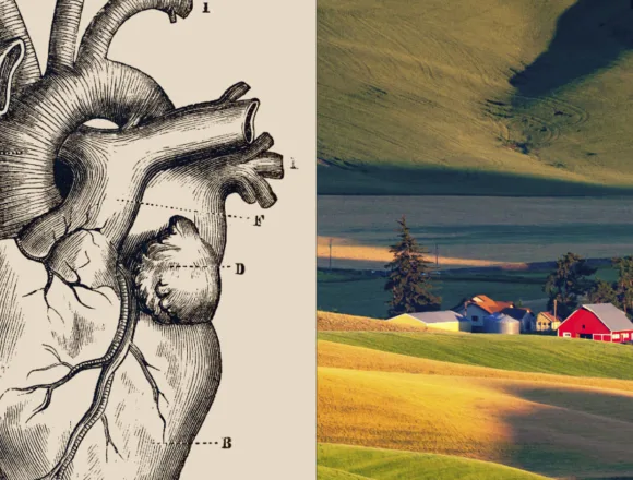 Heart disease deaths soar in rural America, driven by rise in working-age adults