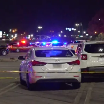 Man shot dead by police after driving into Texas mall, striking multiple people