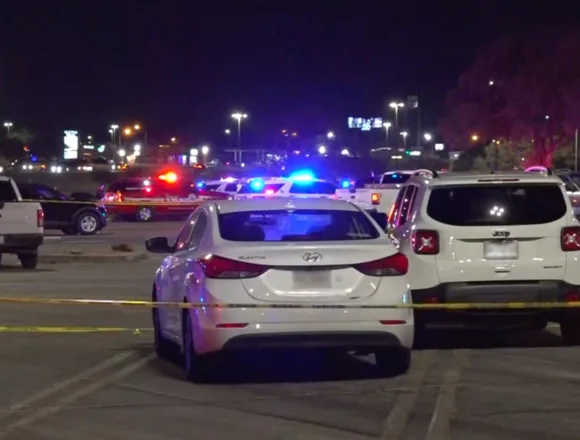 Man shot dead by police after driving into Texas mall, striking multiple people