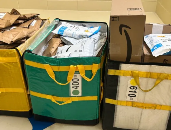 ‘Stressed’ Amazon driver abandons 80 packages in Mass. woods during holiday shipping rush