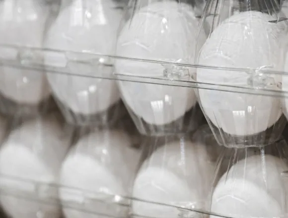 FDA raises salmonella recall alert to highest level on Costco eggs over risk of severe illness or death