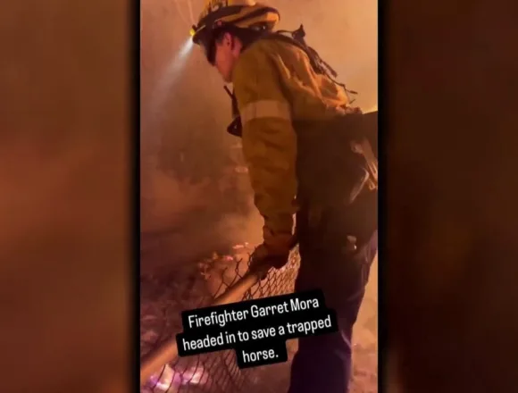 A look at the remarkable acts of bravery and kindness