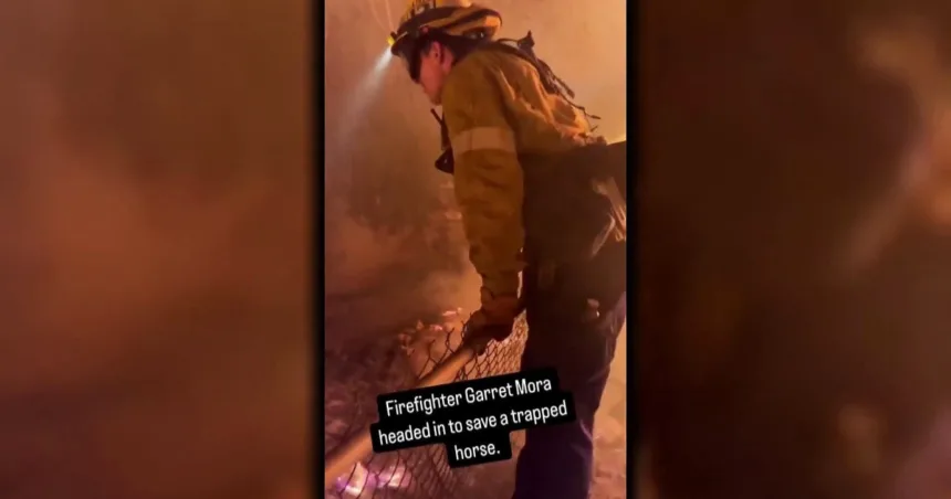 A look at the remarkable acts of bravery and kindness