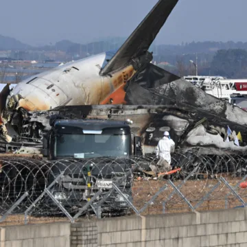 Duck DNA found in both engines of Jeju Air plane that crashed, report says