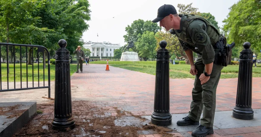 Man who rammed gate near White House in attempt to overthrow government sentenced to 8 years