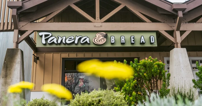 Panera Brands CEO steps down, CFO to fill in as interim chief