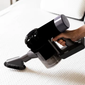 What are Dust Mites and How Can You Get Rid of Them?