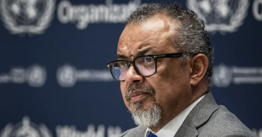 WHO chief urges end to attacks on Sudan healthcare after 70 killed in drone strike