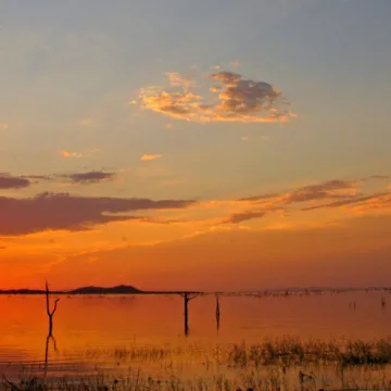 250104-Matusadona-ch-1619-0ed6f7.jpg Young boy survives 5 days in ‘lion-infested’ African game park after wandering from home