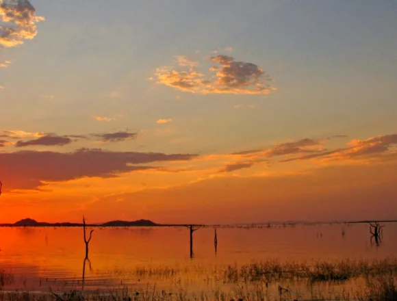 Young boy survives 5 days in ‘lion-infested’ African game park after wandering from home