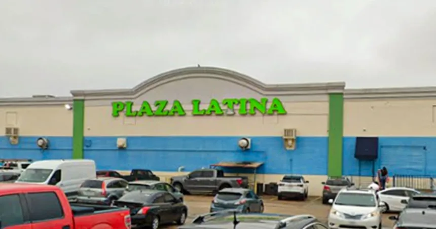 More than 500 animals killed by smoke inhalation in Dallas shopping mall fire