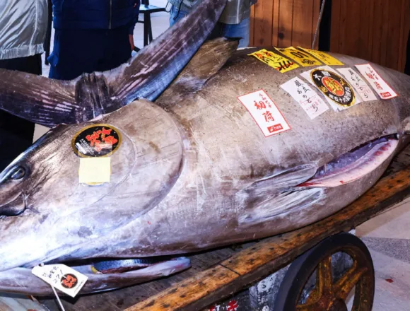 Sushi chain pays $1.3 million for motorcycle-sized tuna at Tokyo auction