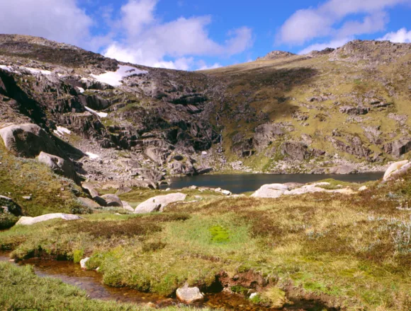 Missing Australian hiker found after surviving two weeks on muesli bars and berries