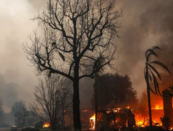 Shares of California utility Edison International drop more than 10% as wildfires rage