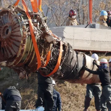 Bird feathers, blood found in both engines of crashed jet in South Korea, source says