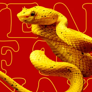 Fight over Trump’s funding freeze and Year of the Snake begins: Morning Rundown