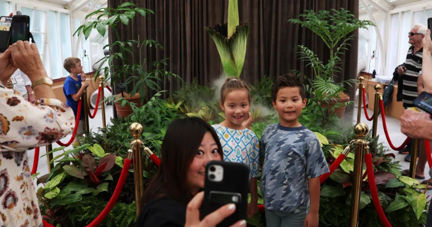 Visitors flock to see the ‘corpse flower’ in bloom