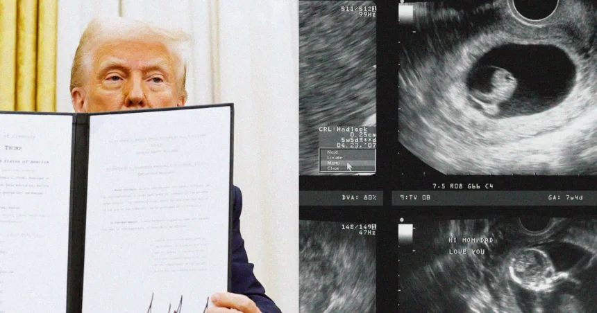 When is a person’s sex determined? Trump has no conception, experts say.