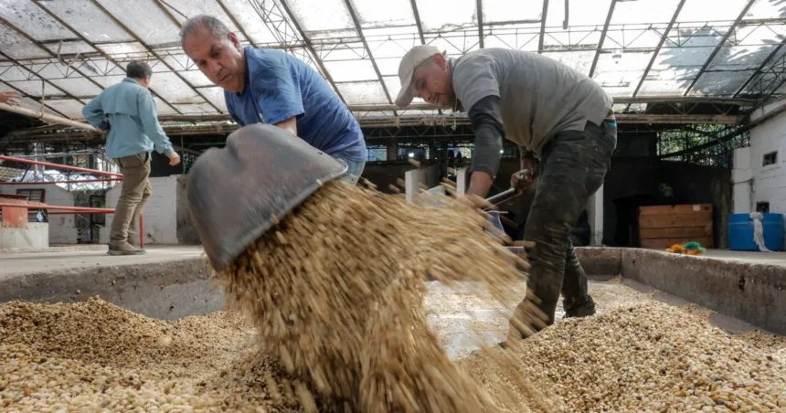 The Colombian goods you may be paying more for under Trump’s tariffs