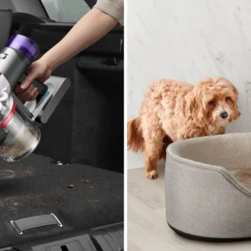 Dyson Launches New Handheld Vacuum — What to Know