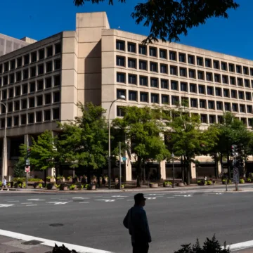 People with ties to Musk and a top FBI critic are advising FBI director