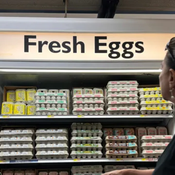 Egg prices have soared as farmers contend with bird flu outbreak