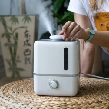 How to Clean a Humidifier, According to Experts