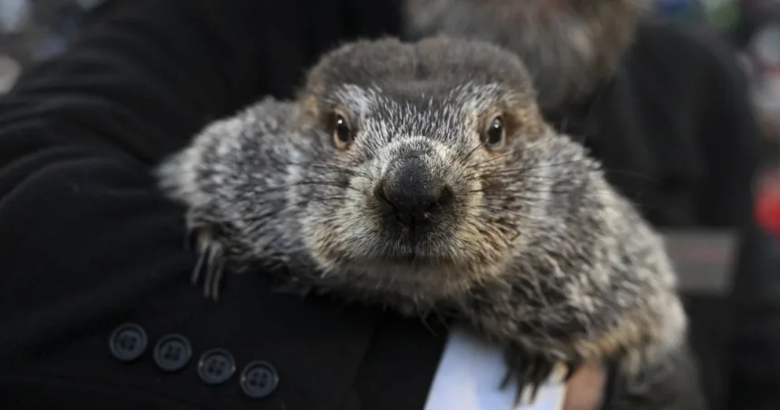 Punxsutawney Phil sees his shadow, handlers say, predicting 6 more weeks of wintry weather