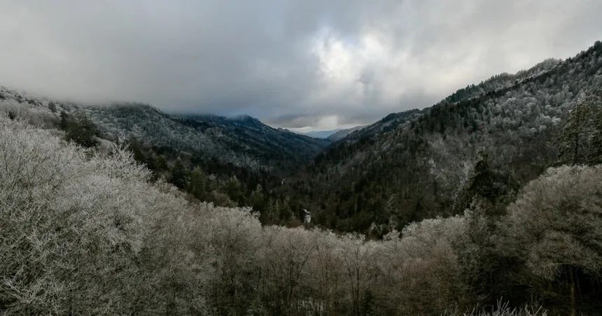 Beloved 73-year-old volunteer and hiker found dead in Great Smoky Mountains National Park