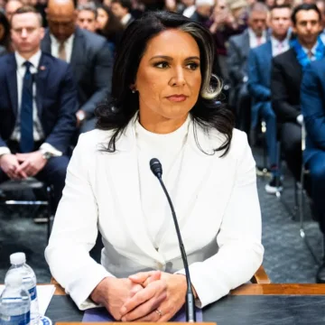 Senate committee backs Tulsi Gabbard as next intelligence chief 