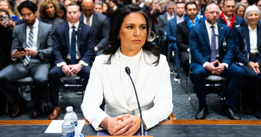 Senate committee backs Tulsi Gabbard as next intelligence chief 
