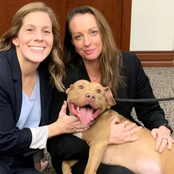 Georgia man sentenced to nearly 500 years for facilitating dog fights, abusing animals