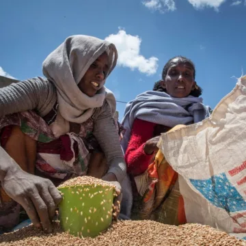 What is USAID? Who benefits from it and why Musk says he and Trump may shut it down