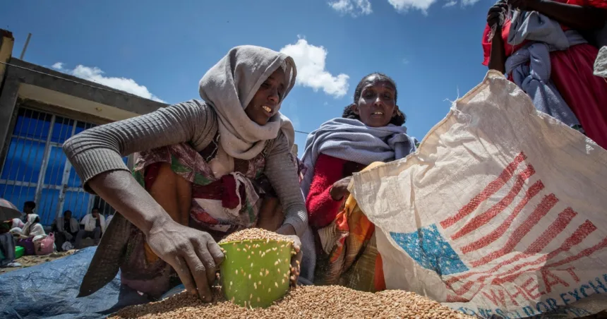 What is USAID? Who benefits from it and why Musk says he and Trump may shut it down