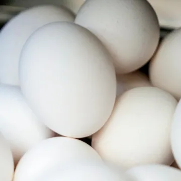 About 100,000 eggs worth $40K stolen from trailer in Pennsylvania
