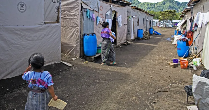 Trump’s USAID freeze puts millions of women and girls at risk, experts warn