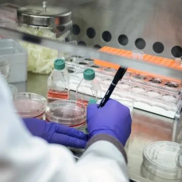 Judge blocks Trump administration from cutting research funding after 22 states sue