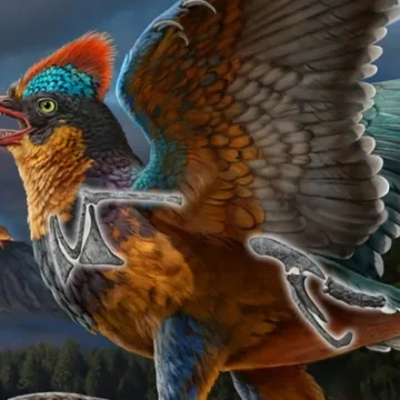 Chinese fossil of a Jurassic bird rewrites history of avian evolution