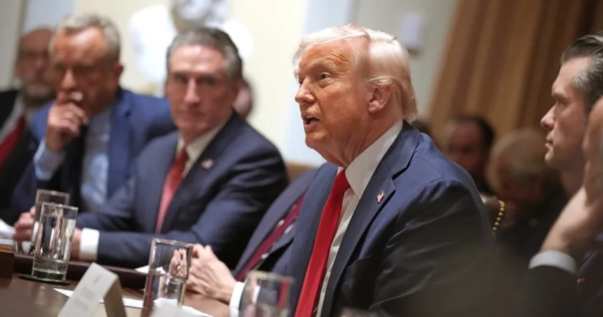 Trump and Elon Musk dominate his first Cabinet meeting