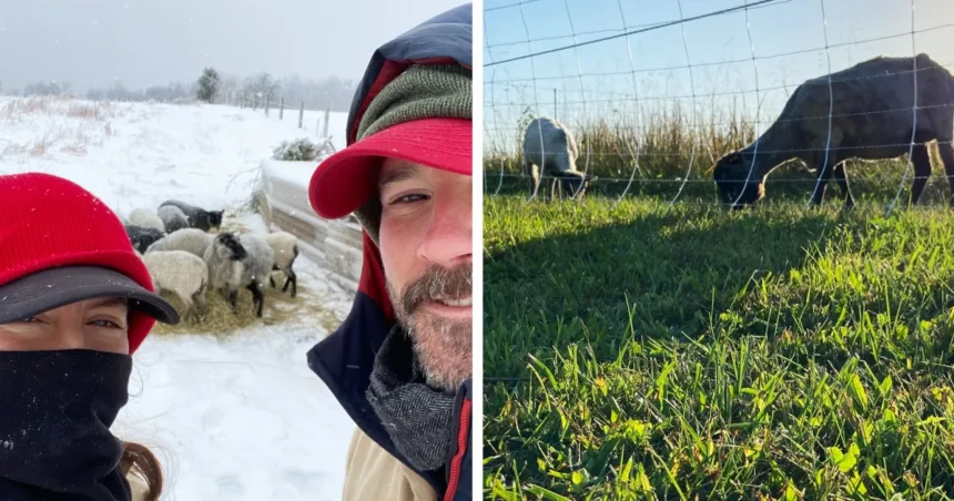 Farmers hit by a federal funding freeze scramble to respond ahead of spring thaw