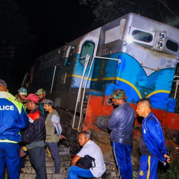 A train struck an elephant herd in Sri Lanka, killing 6 animals