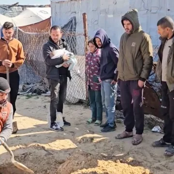 Newborns in Gaza are dying from the cold as fears rise over ceasefire’s next phase