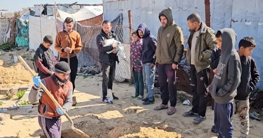 Newborns in Gaza are dying from the cold as fears rise over ceasefire’s next phase