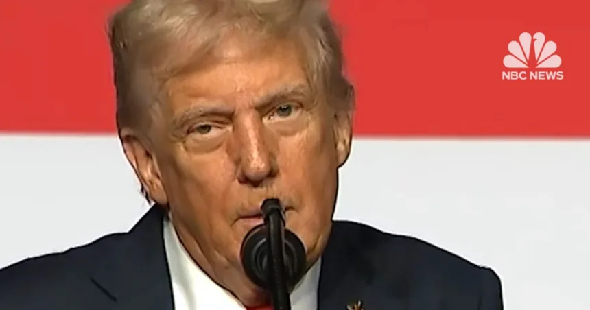 President Trump says ‘there are two N-words and you can’t use either of them’